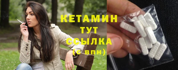 прущие грибы Тверь