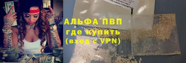индика Няндома