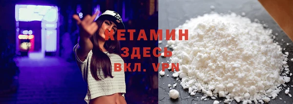 индика Няндома