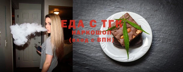 индика Няндома