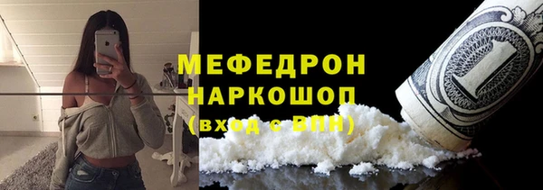 индика Няндома