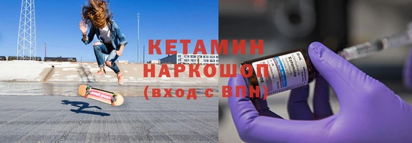 индика Няндома