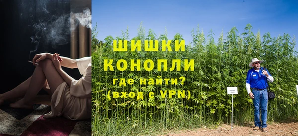 индика Няндома