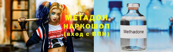 индика Няндома
