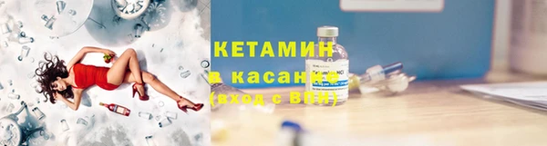 индика Няндома
