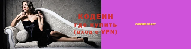 индика Няндома