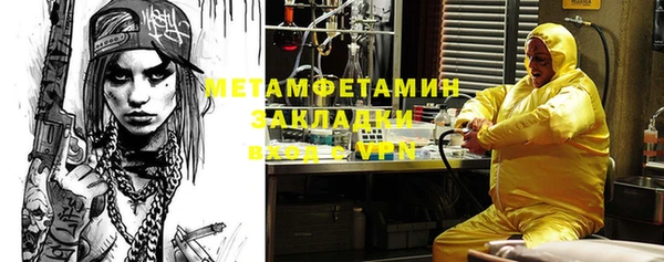 индика Няндома