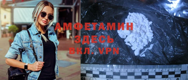 индика Няндома