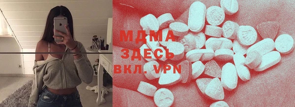 индика Няндома