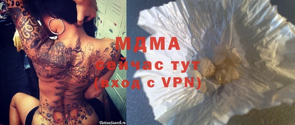 индика Няндома