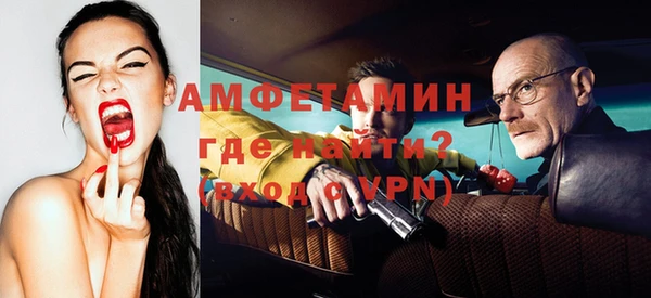 индика Няндома