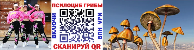 Псилоцибиновые грибы мухоморы  площадка как зайти  Стерлитамак 