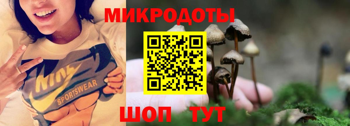Галлюциногенные грибы Cubensis  Псилоцибиновые грибы ЛСД  Стерлитамак  Вход с VPN 